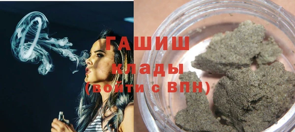 гашик Алексин