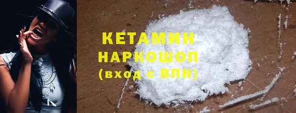 гашик Алексин